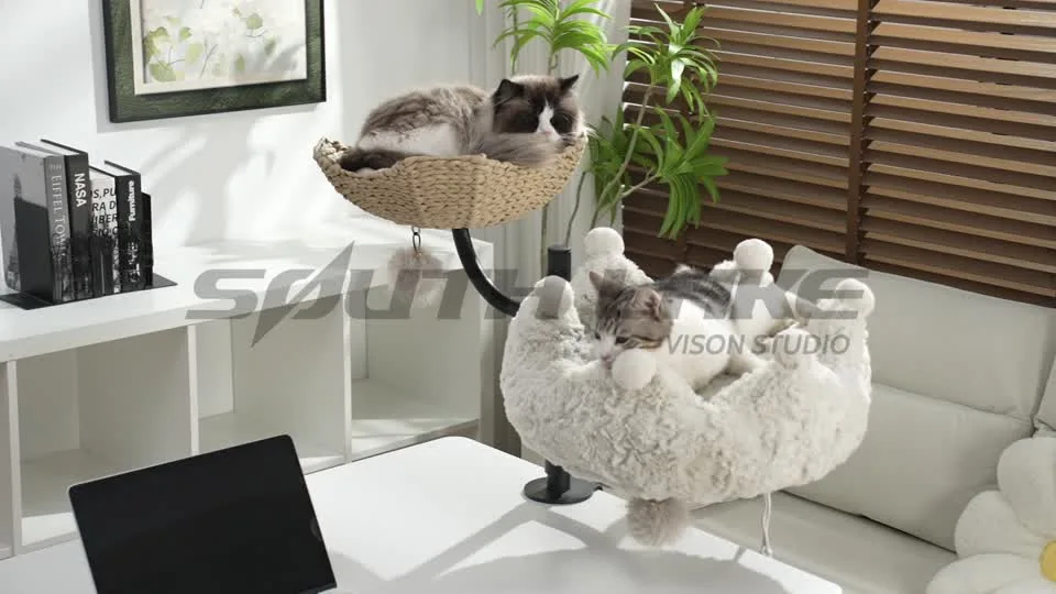 猫爬架 · 家居使用场景
